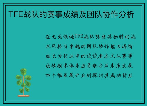 TFE战队的赛事成绩及团队协作分析