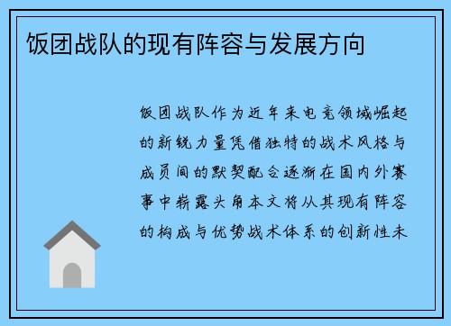 饭团战队的现有阵容与发展方向