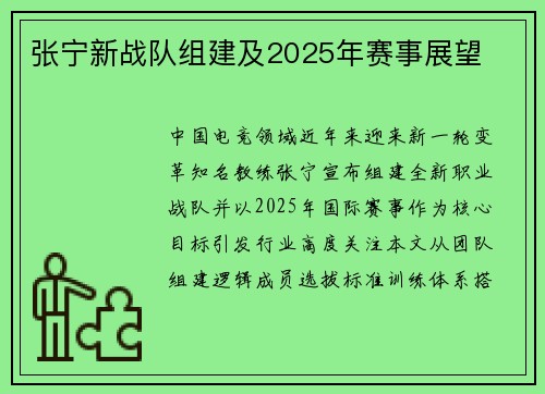 张宁新战队组建及2025年赛事展望